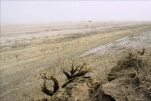 Lee más sobre el artículo Xinjiang, China, convierte un desierto salado en tierra fértil para impulsar la seguridad alimentaria