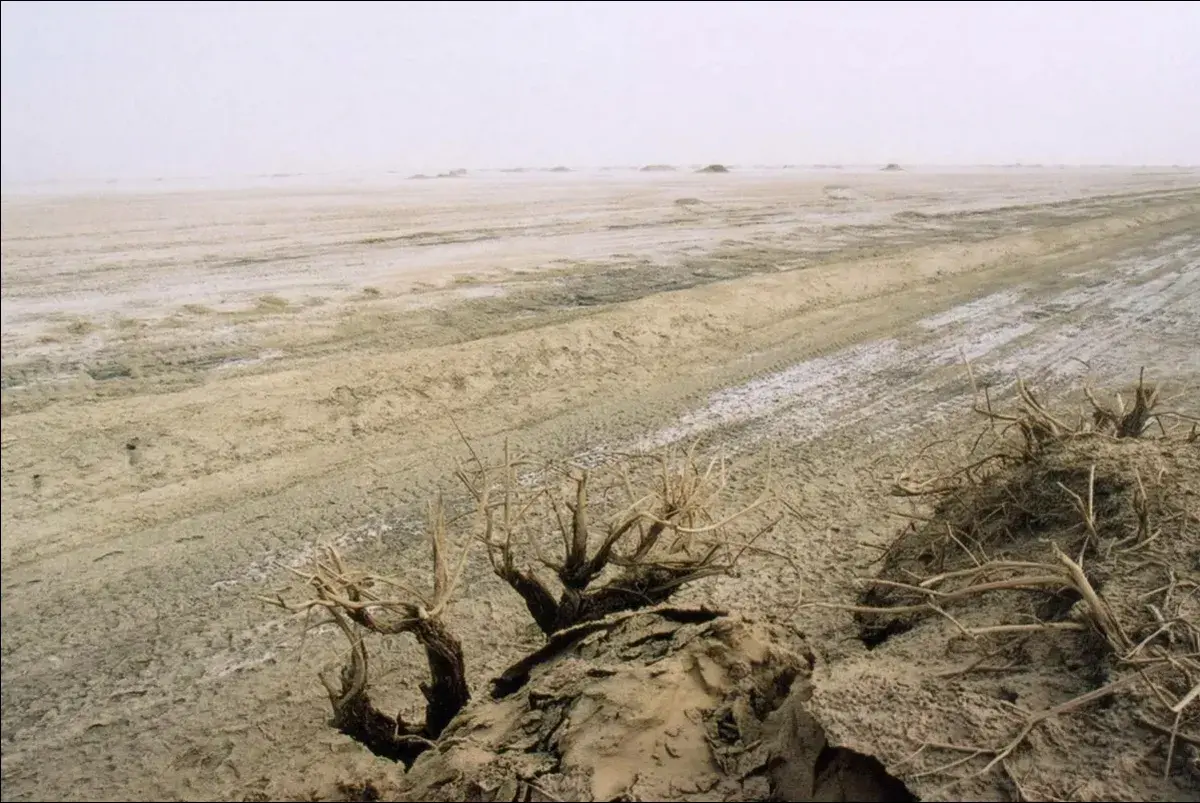 En este momento estás viendo Xinjiang, China, convierte un desierto salado en tierra fértil para impulsar la seguridad alimentaria