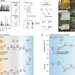 Un nuevo sistema de detección autónomo arroja luz sobre el monitoreo ambiental