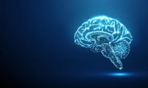 Lee más sobre el artículo Un avance podría ayudar al diagnóstico y tratamiento de enfermedades cerebrales