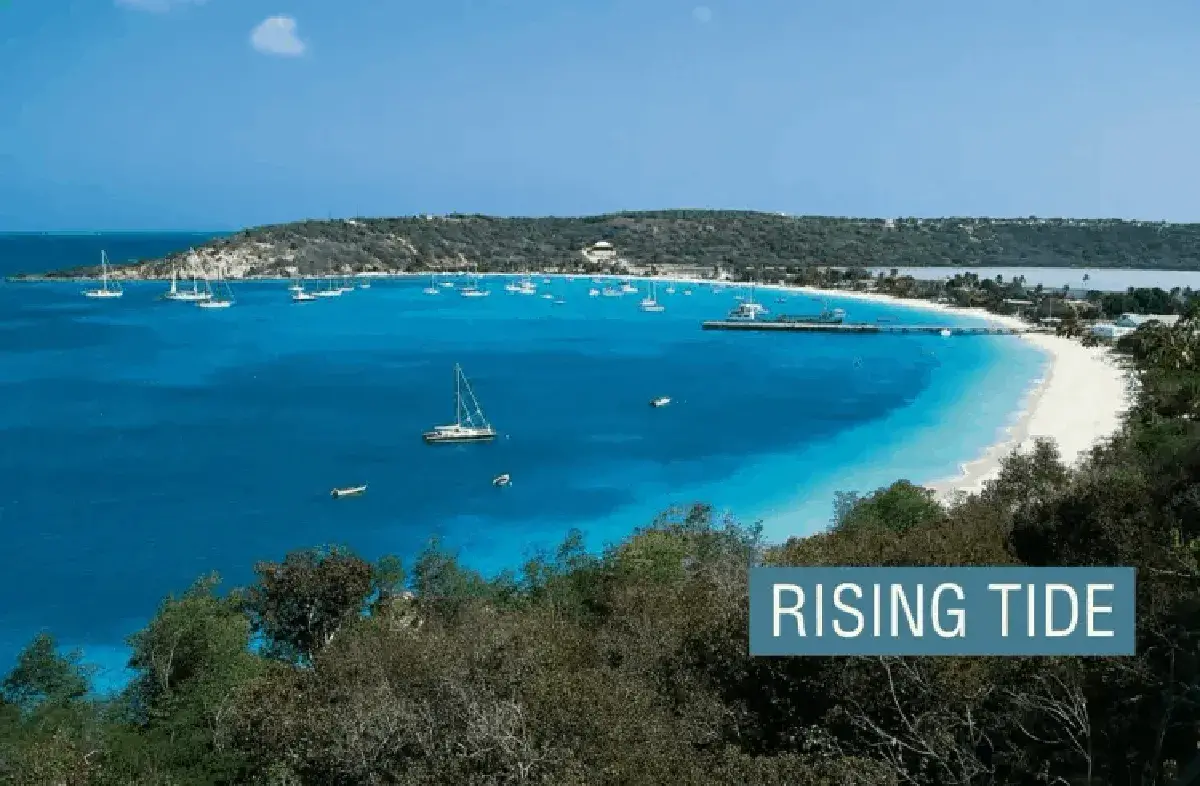 Lee más sobre el artículo La isla caribeña de Anguila genera millones con el dominio web .ai