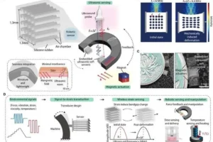 Lee más sobre el artículo Equipo chino diseña un pequeño sensor robótico para tareas internas
