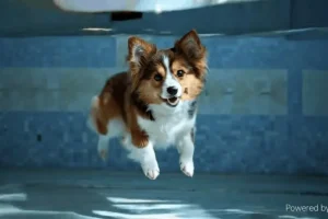 Lee más sobre el artículo La startup china de inteligencia artificial Shengshu presenta Vidu Q2, un desafío para Sora de OpenAI