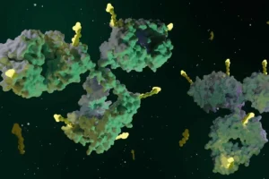 Lee más sobre el artículo Foro de biotecnología de China considera que los medicamentos contra el cáncer con anticuerpos son un tratamiento de próxima generación