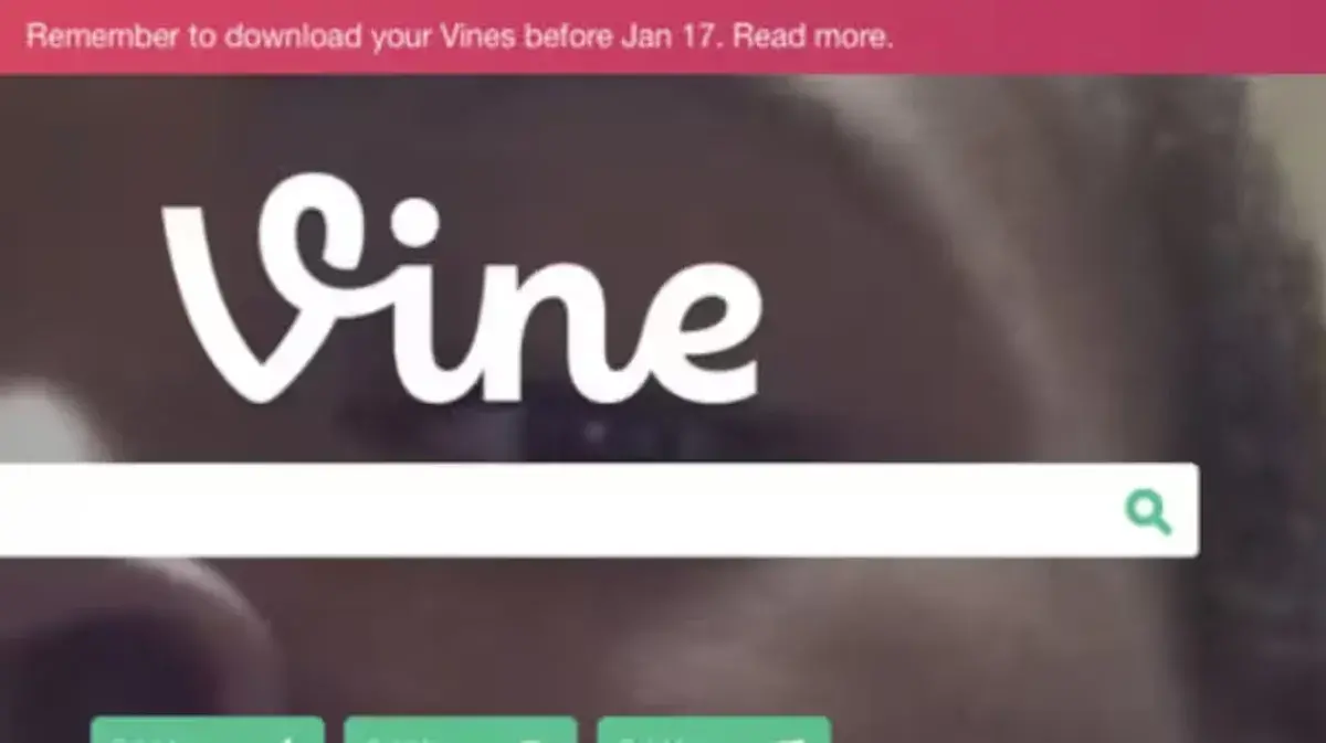 Lee más sobre el artículo Sí, es verdad: Vine ha sido revivido por el creador de Twitter