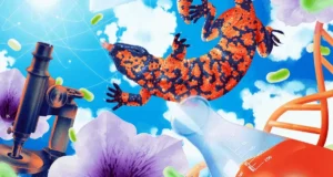 Lee más sobre el artículo Siete proyectos de investigación básica están cambiando el mundo silenciosamente