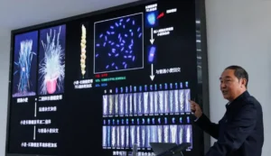 Lee más sobre el artículo El diseño genético genera cultivos con mayor rendimiento