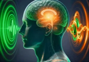 Lee más sobre el artículo La investigación revela mecanismos comunes para la recuperación de la conciencia en pacientes con trastornos de la conciencia