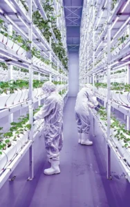 Lee más sobre el artículo La granja vertical de Chengdu lleva la agricultura a nuevas cotas