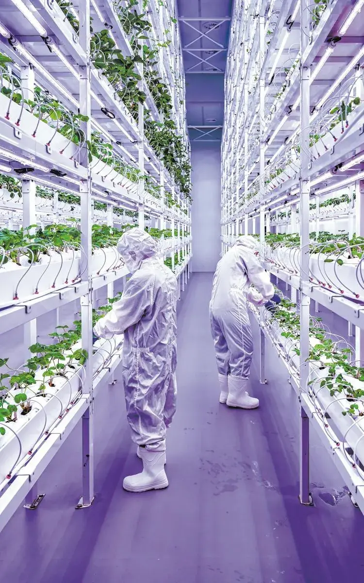 Lee más sobre el artículo La granja vertical de Chengdu lleva la agricultura a nuevas cotas