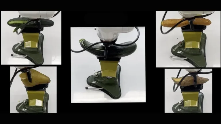 Robots capaces de pelar y cortar frutas y verduras curvas