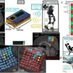 Interfaz cerebro-computadora bidireccional restaura sincrónicamente la marcha y la sensibilidad en pacientes paralizados