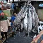 Asia destaca en el seguimiento de buques pesqueros, pero falla en el de quienes se encuentran a bordo