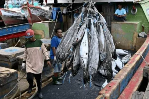 Lee más sobre el artículo Asia destaca en el seguimiento de buques pesqueros, pero falla en el de quienes se encuentran a bordo
