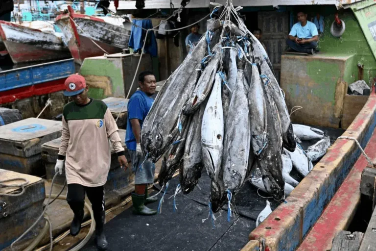 Asia destaca en el seguimiento de buques pesqueros, pero falla en el de quienes se encuentran a bordo