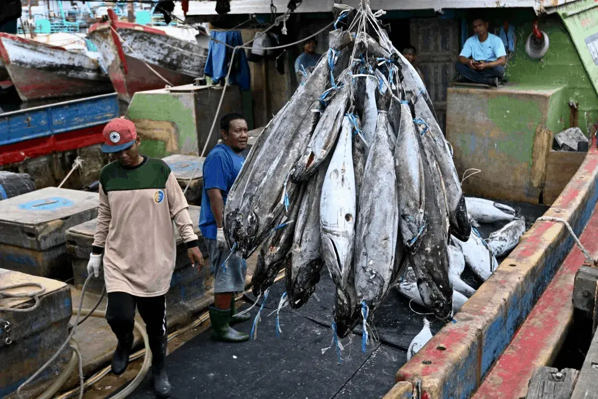 En este momento estás viendo Asia destaca en el seguimiento de buques pesqueros, pero falla en el de quienes se encuentran a bordo
