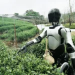 El fabricante chino de robots AgiBot busca salir a bolsa en Hong Kong y contrata a 3 patrocinadores