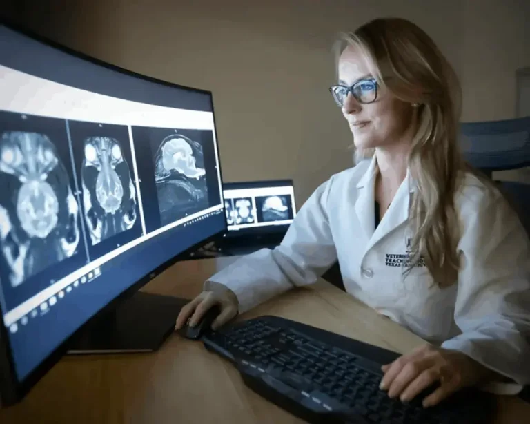 Zoetis adquirirá una empresa de diagnóstico por imagen en su último esfuerzo por desarrollar IA