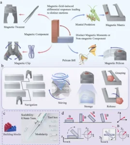 Lee más sobre el artículo Investigadores resuelven el desafío de controlar microrobots mediante magnetismo