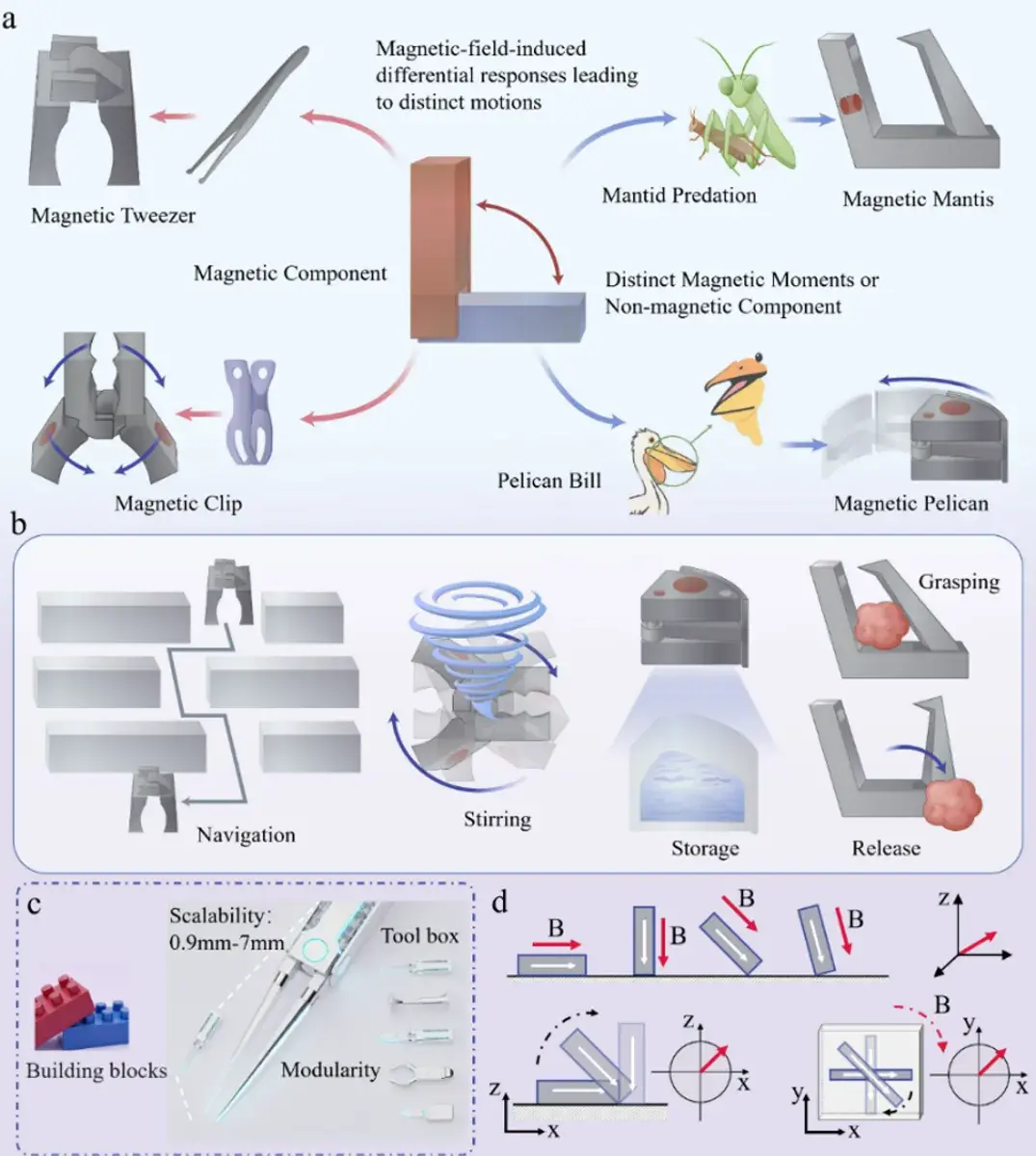 En este momento estás viendo Investigadores resuelven el desafío de controlar microrobots mediante magnetismo