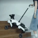 Debut en China de un perro guía robótico ante la grave escasez de sus homólogos de carne y hueso