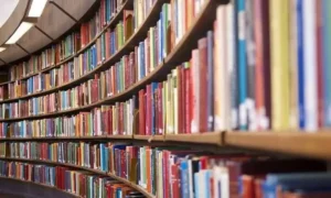 Lee más sobre el artículo ¿Qué normas académicas necesitamos en la era de la IA?